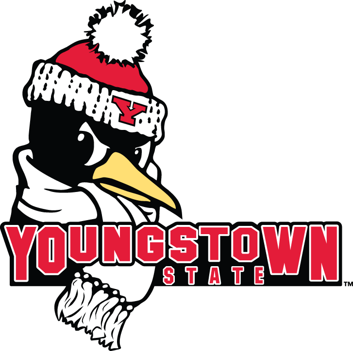 Youngstown State Penguins 2006-Pres Secondary Logo diy iron on heat transfer